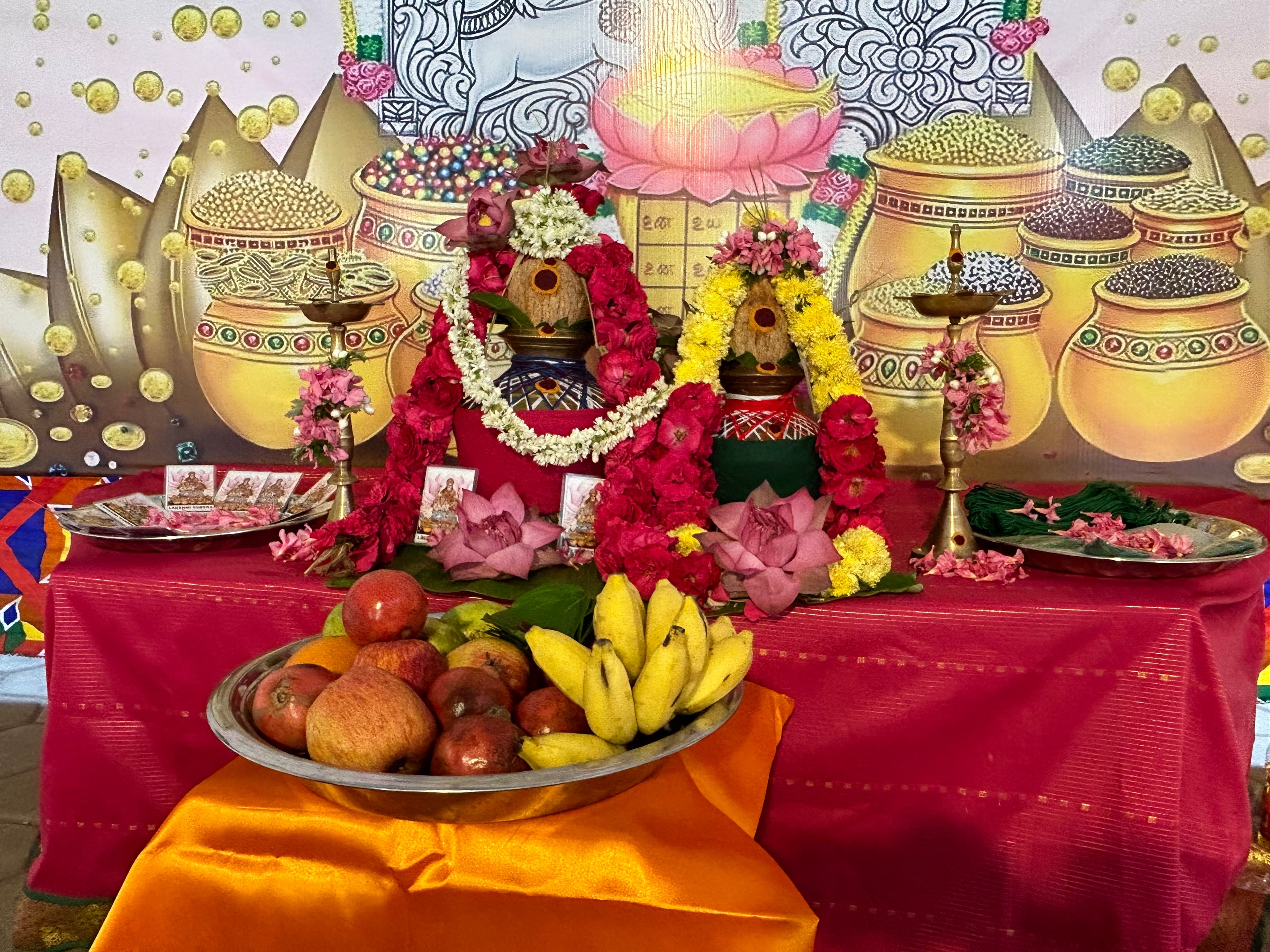 Priest performing traditional vedic rituals