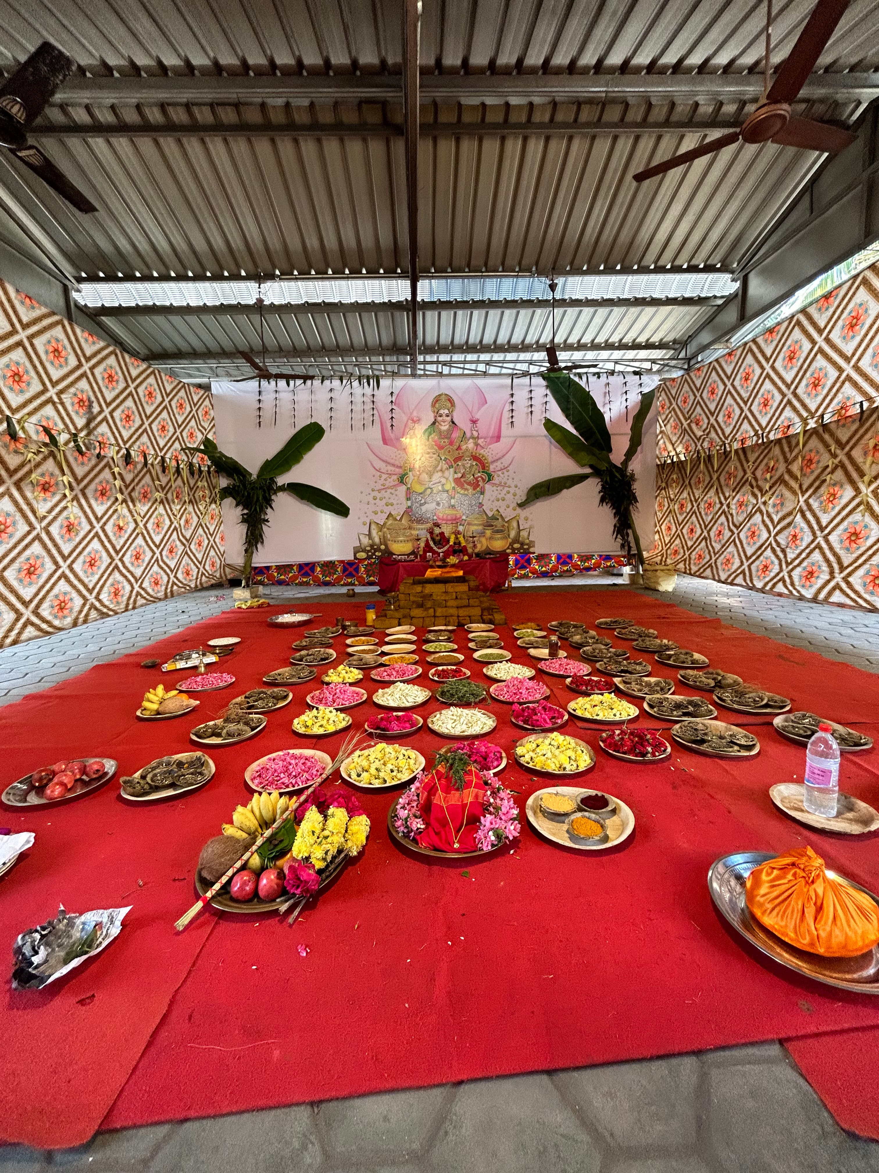 Priest chanting mantras during ritual